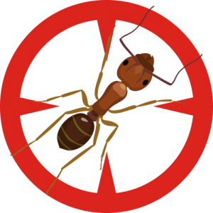 Pest Extermination | Poway Pest Control | Pest Control Poway