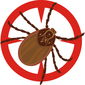 Pest Extermination | Poway Pest Control | Pest Control Poway