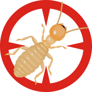 Pest Extermination | Poway Pest Control | Pest Control Poway