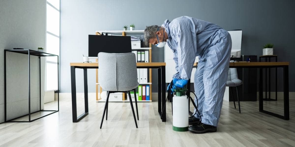 Valencia Pest Control | Pest Exterminator | Poway Pest Control
