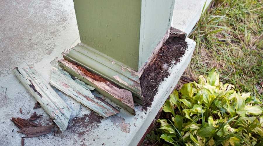 featured image - damaged front porch structure | About Us | Pest Extermination | Poway Pest Control | Pest Control Poway