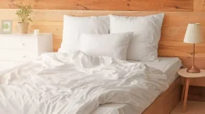 02.3 - how do exterminators get rid of bed bugs