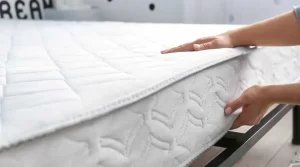 05.3 - methods to remove bed bugs