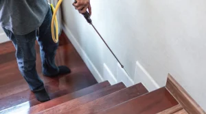 spraying pesticide on stair sides